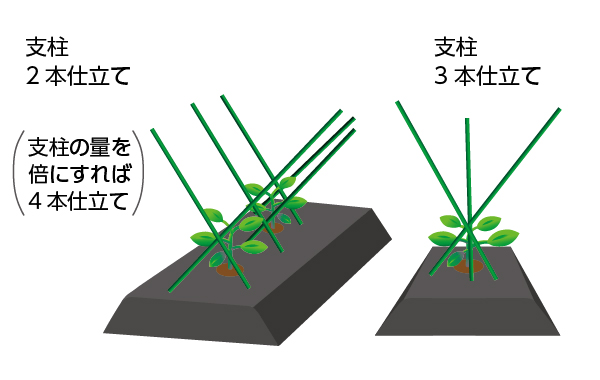 なす栽培に支柱は必要？支柱の役割や仕立て方を解説