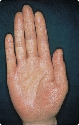 ＼スルッ！と手で簡単に皮がむけるオレンジ , こんにちは、facebook担当の吉田です！,本日は、手で簡単に皮がむけるトップバリュの「手で皮がむけるオレンジ」のご紹介です！甘さ「ギュギュッ」と濃厚でとっても美味しいです♪, ★皮のむき方,ヘタが付いている方から親指を入れ、みかんをむくようにむいていきます。スルスルッと皮がむけていきます。, ★味の特徴,