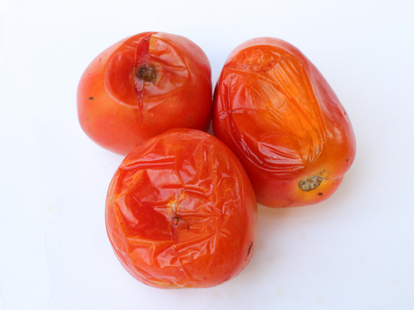 腐ったミニトマトの見分け方ふにゃふにゃになったり黒く変色する？ - Fily