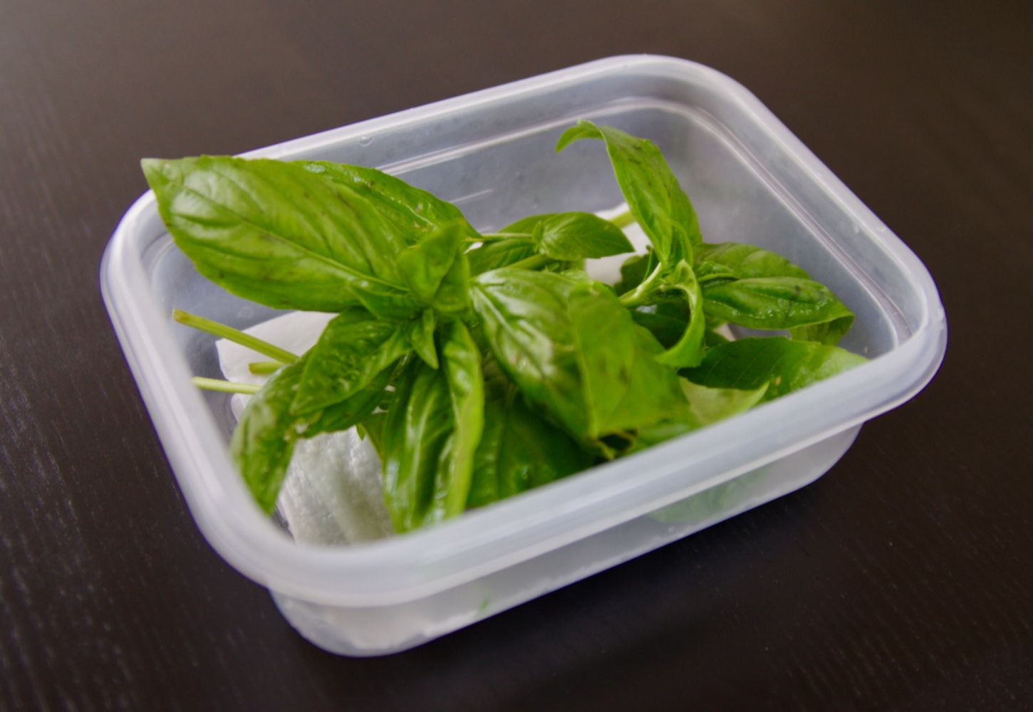 バジル 大量消費に！保存方法と簡単レシピ