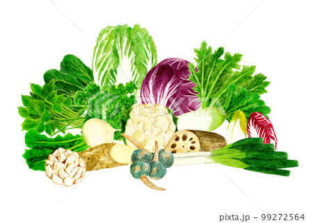 秋・冬の野菜と果物 イラスト イラスト素材6179080- フォトライブラリ