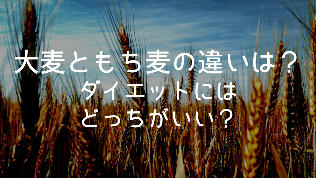 胚芽押麦始めました🍙ひろ