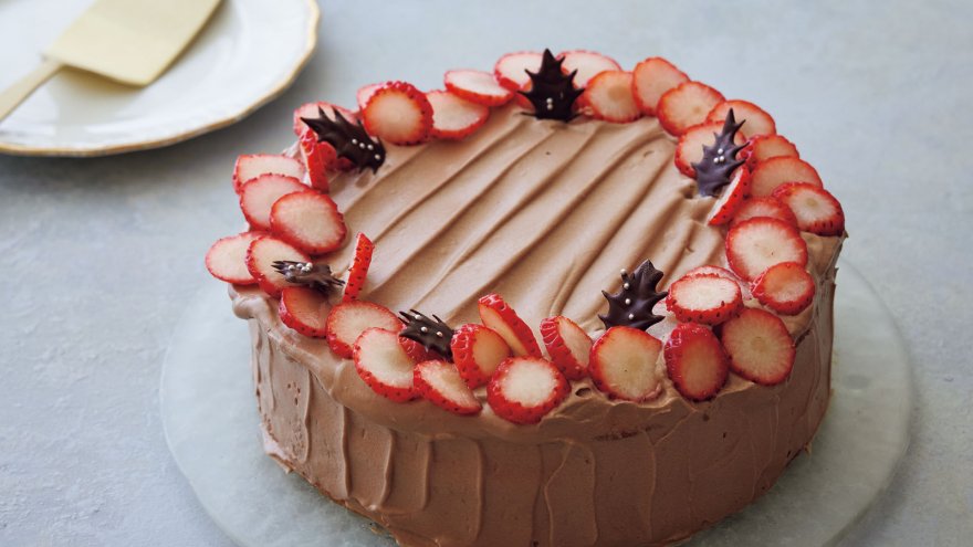 チョコレートデコレーションケーキ - レシピ - NAKAZAWA 中沢グループ 「生クリームの美味しさをゆっくり、しっかり」