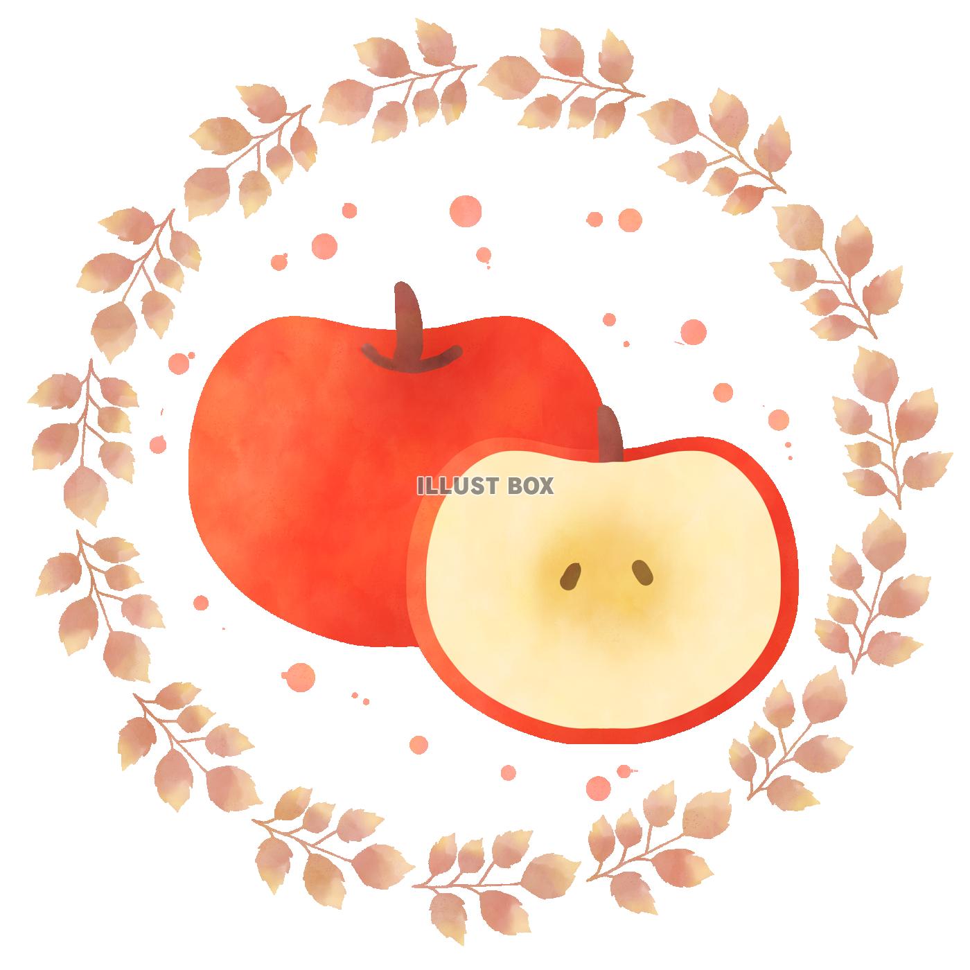 187,600点を超えるりんごのイラスト素材、ロイヤリティフリーのベクター素材グラフィックスとクリップアート - iStockオレンジ,ぶどう, いちご