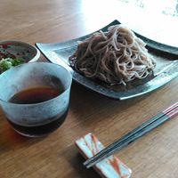 ざる蕎麦流行りの理由とおいしい食べ方をご紹介！ブログ蕎麦 そば なら岐阜県各務原でダシに拘るそば処更科各務原店