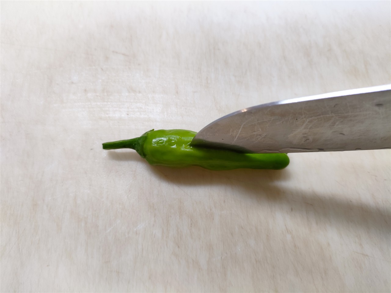 ししとうの天ぷらレシピと楽しみ方2025 年のリアルなLemon8ユーザー体験