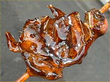 JR大曽根駅南口すぐの焼き鳥屋「すずめ」リーズナブルで美味しい焼き鳥「きんかんの肉巻き」を食す!!クリエイティブモグモグ