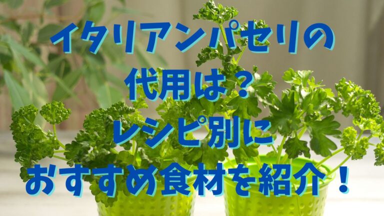 パセリの代用品6選ない時に代わりになるハーブには何がある?お役立ち！季節の耳より情報局