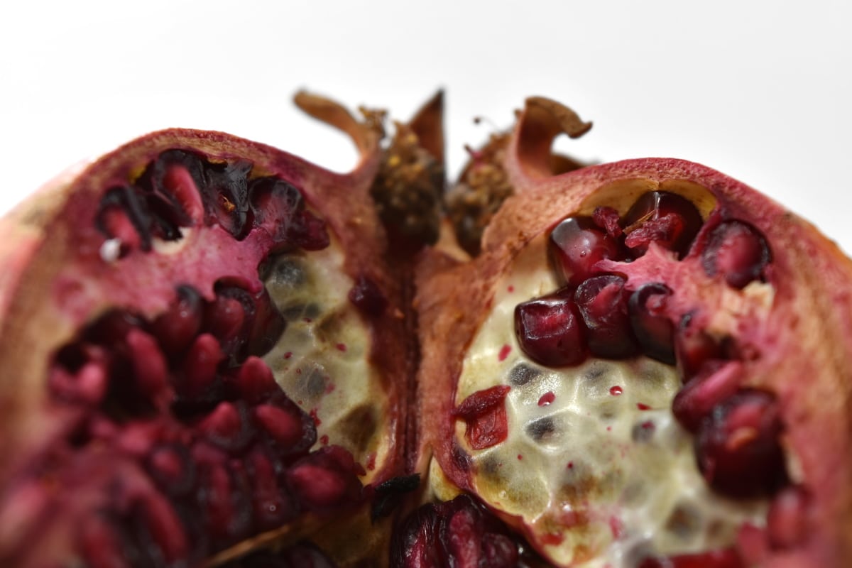 ザクロの実を収穫！ザクロの味は？透き通った赤い果肉が予想以上に甘かった～！ - 村内伸弘のブログが好き😍