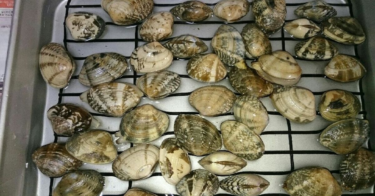 超時短！貝専門店直伝、あさりの砂抜き