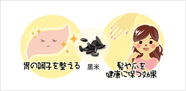 黒米の栄養と効能デメリットはある？「おばあちゃんの知恵」に学ぶ、黒米の炊き方と簡単おいしいレシピ 管理栄養士監修 農業・ガーデニング・園芸・家庭菜園マガジン AGRIPICK