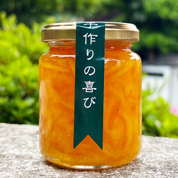 だいだいマーマレード 200ｇ岡野屋だいだい