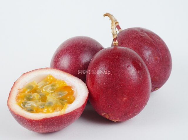 真っ赤なリンゴの写真・画像素材-Snapmart スナップマート