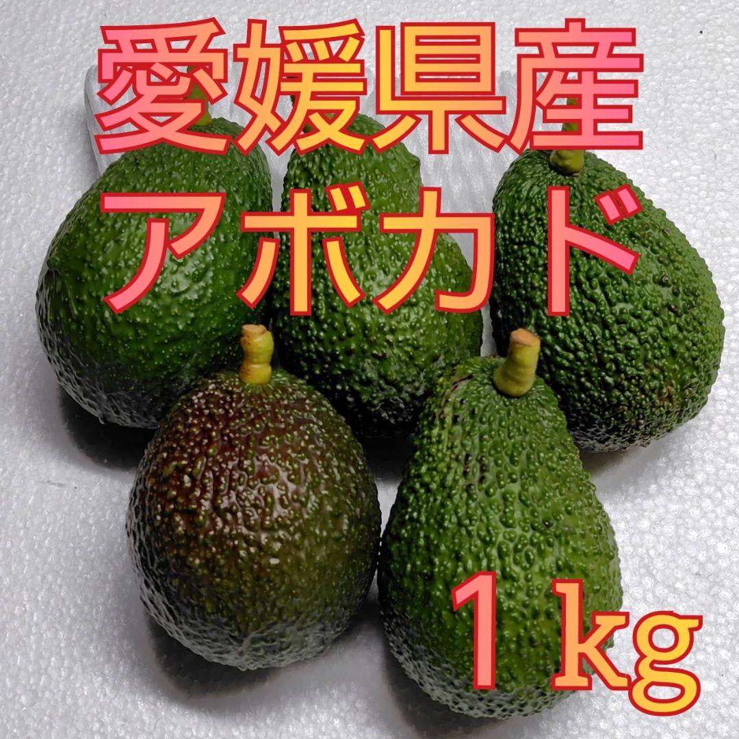 超希少な国産完熟アボカド！つなぎ南興FARM豊洲市場ドットコム