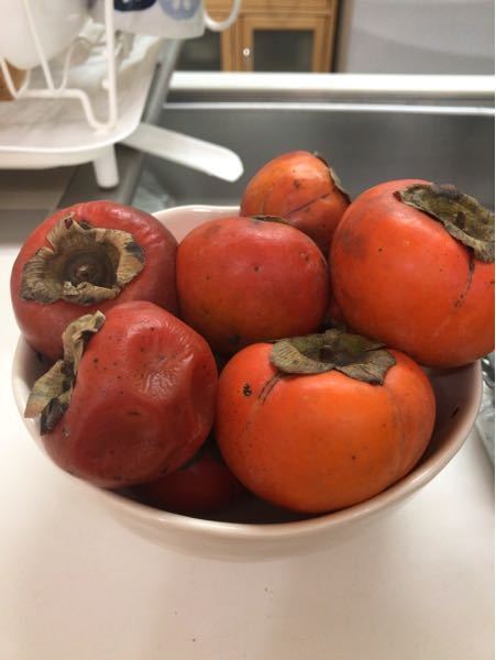 冷蔵富有柿 2L 12個 化粧箱入り 出荷時期12月中旬より モンベル