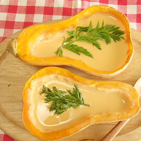 空中栽培で育てる！バターナッツかぼちゃのプランター栽培農家web