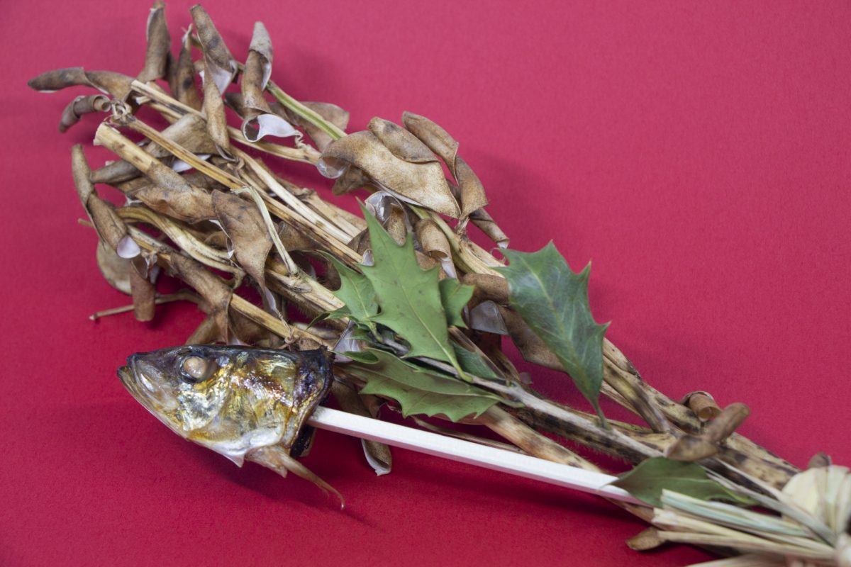 開運には節分の豆まきと恵方巻き？いえいえ実は「豆まき＋イワシ」の組み合わせもあるのですumito.®