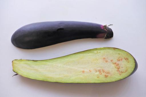 認定こども園世羅幼稚園