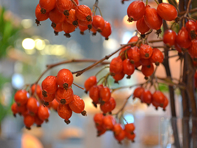 長野県オリジナル品種の秋に映えるりんご「秋映」シェフとパティシエの「Mekiki紀行」フルーツタルトのラ・メゾン・アンソレイユターブル