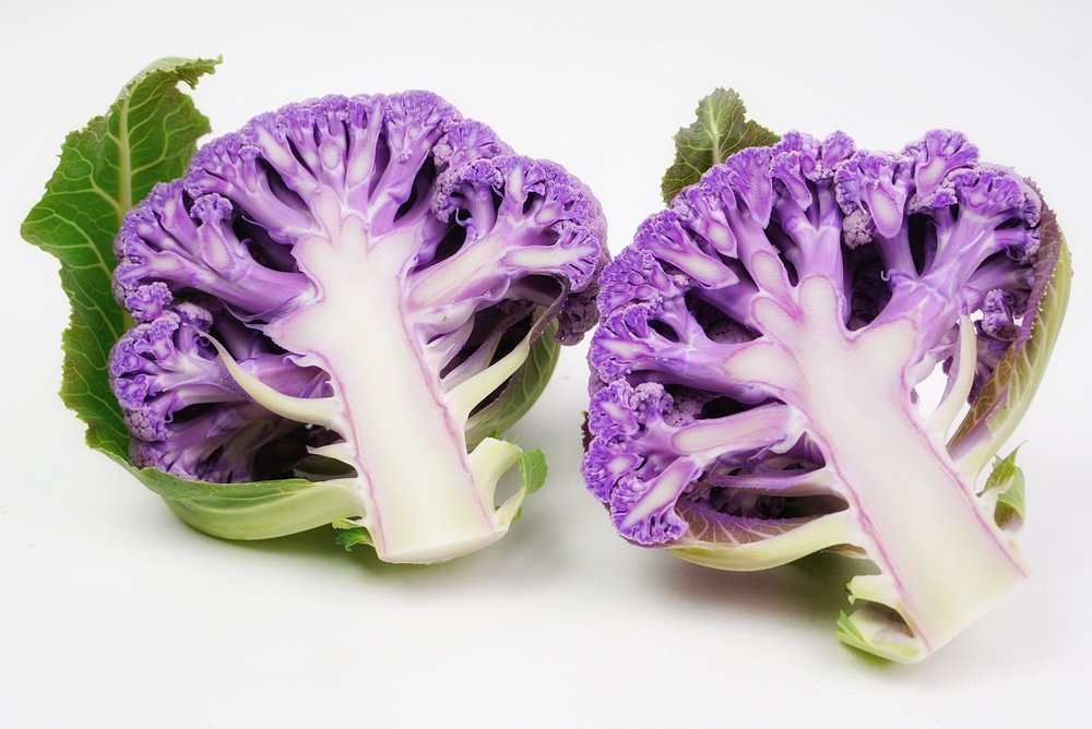 紫色の食べ物の選択Premium写真