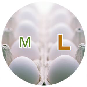 卵パック１０個一般型