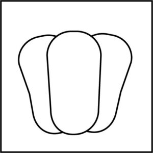 無料の美しいピーマンイラスト素材PNG・フリー 画像 - Pngtree