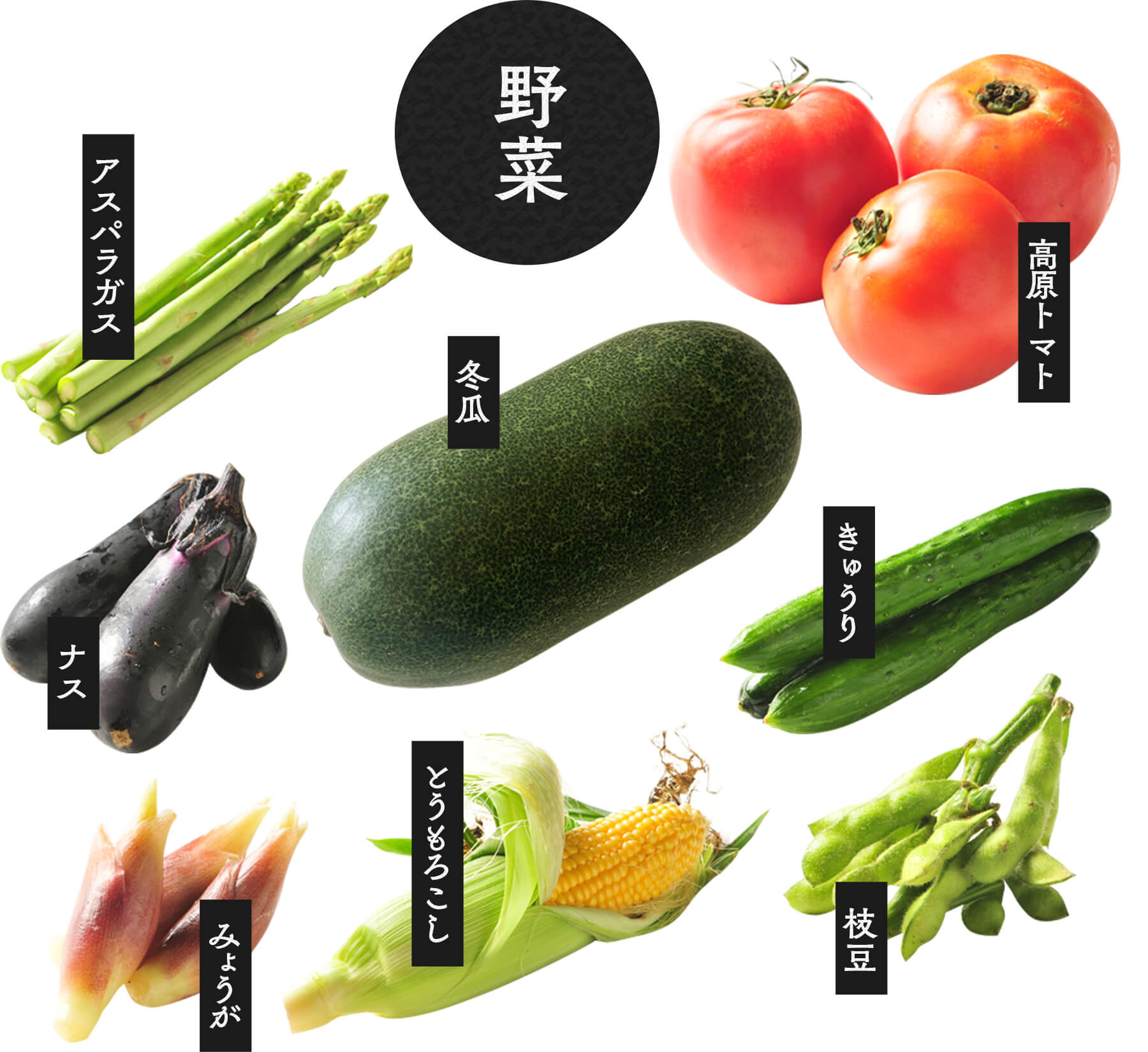 加賀太きゅうり 約2㎏秀M 3本入り : かが・のと味自慢 ＪＡタウン 産地直送 通販 お取り寄せ