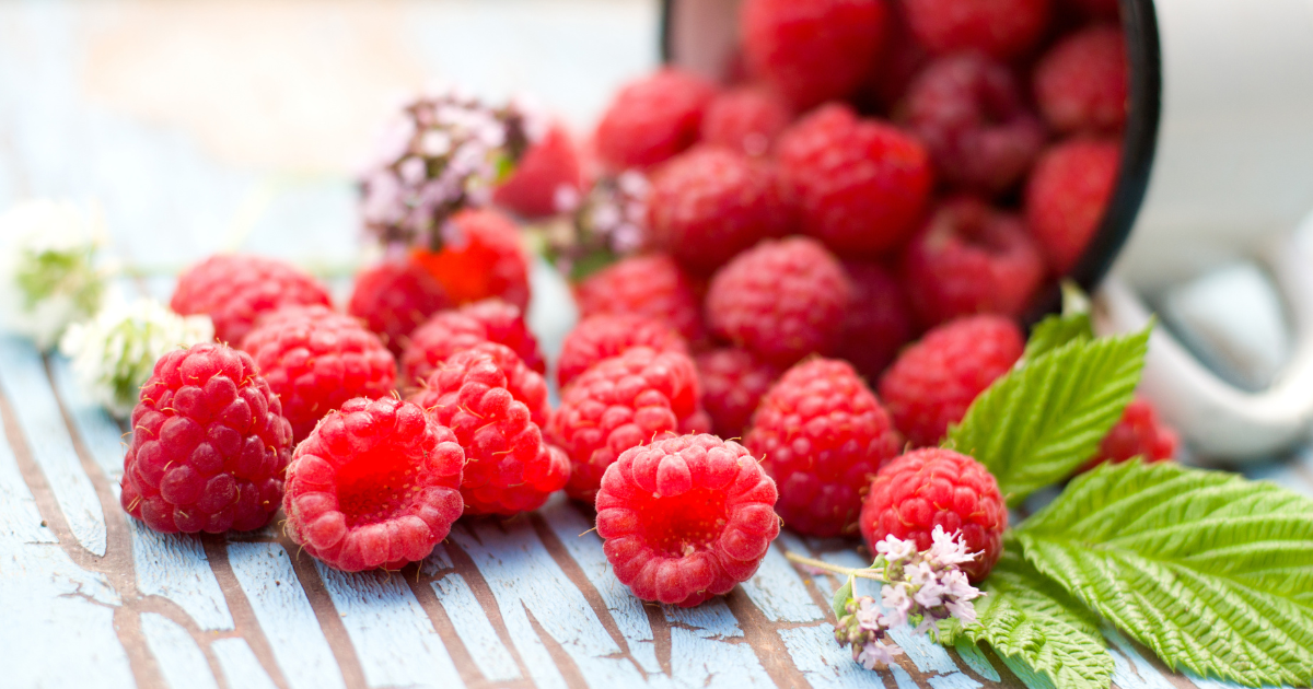 ケース販売 ポンティエ フルーツホール フランボワーズ-ラズベリー メッカー 1kg GTIN:3228170101410マーム アラモードモバイル版輸入食材など業務用食材卸専門の通販サイト