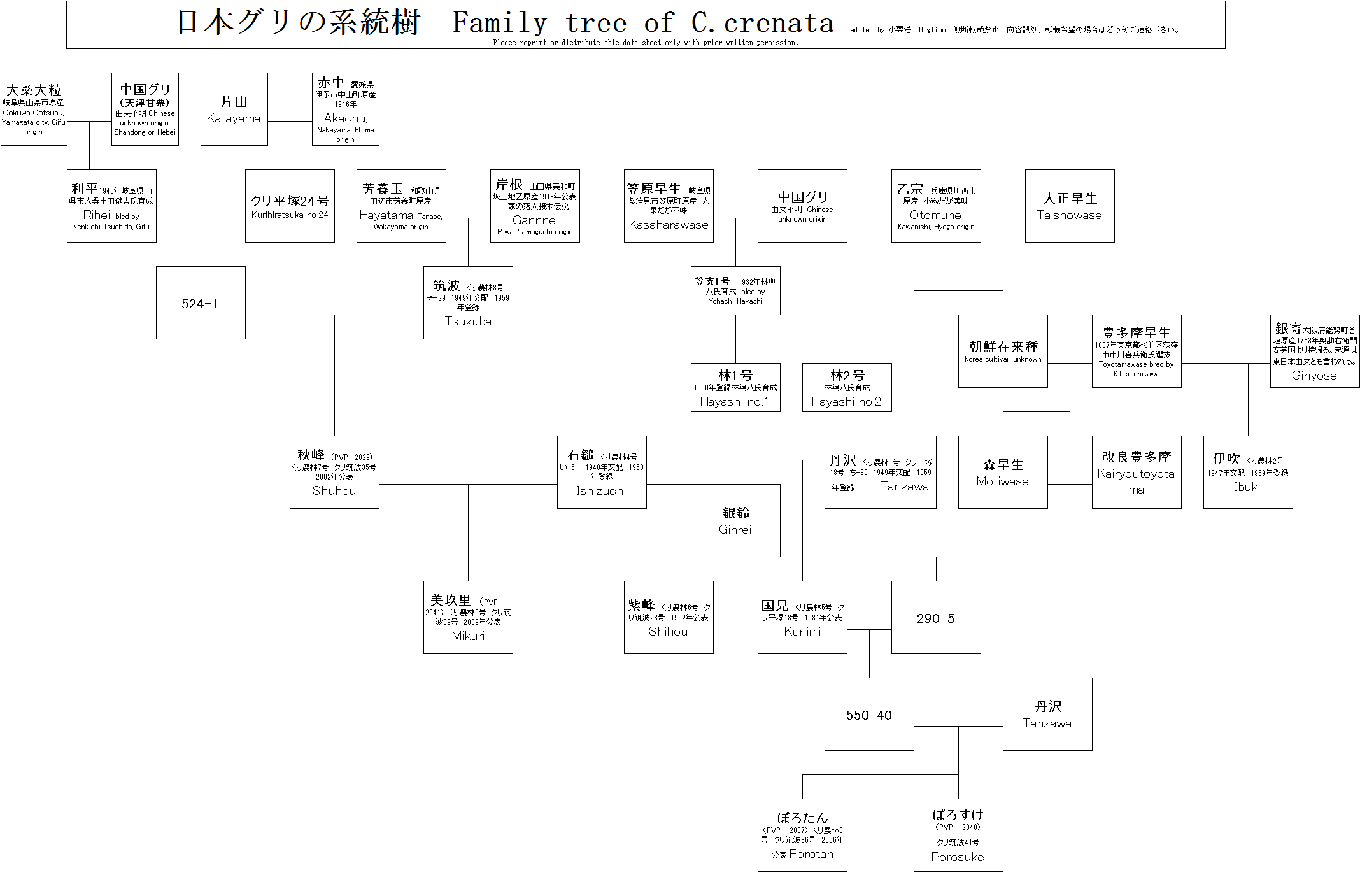 不耕起栽培の大事なポイントは？ 自然との調和を楽しみ、リジェネラティブ農業の実現を目指すAGRI JOURNAL