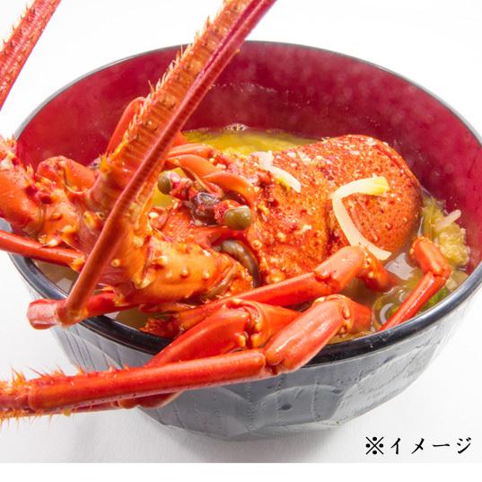 天然 伊勢海老 活〆 ボイル冷凍約250g×2尾沖縄県・離島 配送不可 : 産直お取り寄せニッポンセレクト PrimeJALMallショッピングでマイルがたまる・つかえる