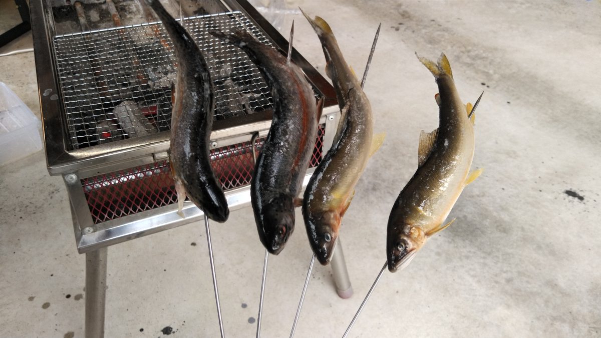 ニジマスの串焼き 写真素材1456490- フォトライブラリ