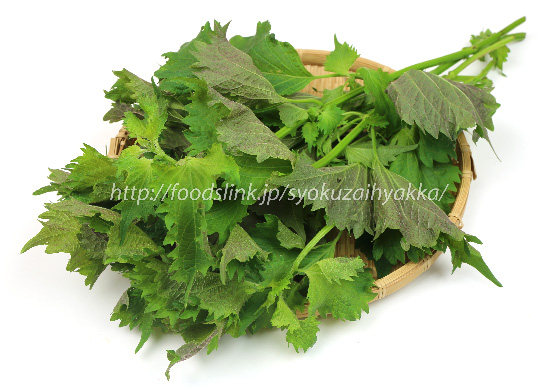 週末の楽しみ＊穂紫蘇の保存食づくり – なかよしライブラリ