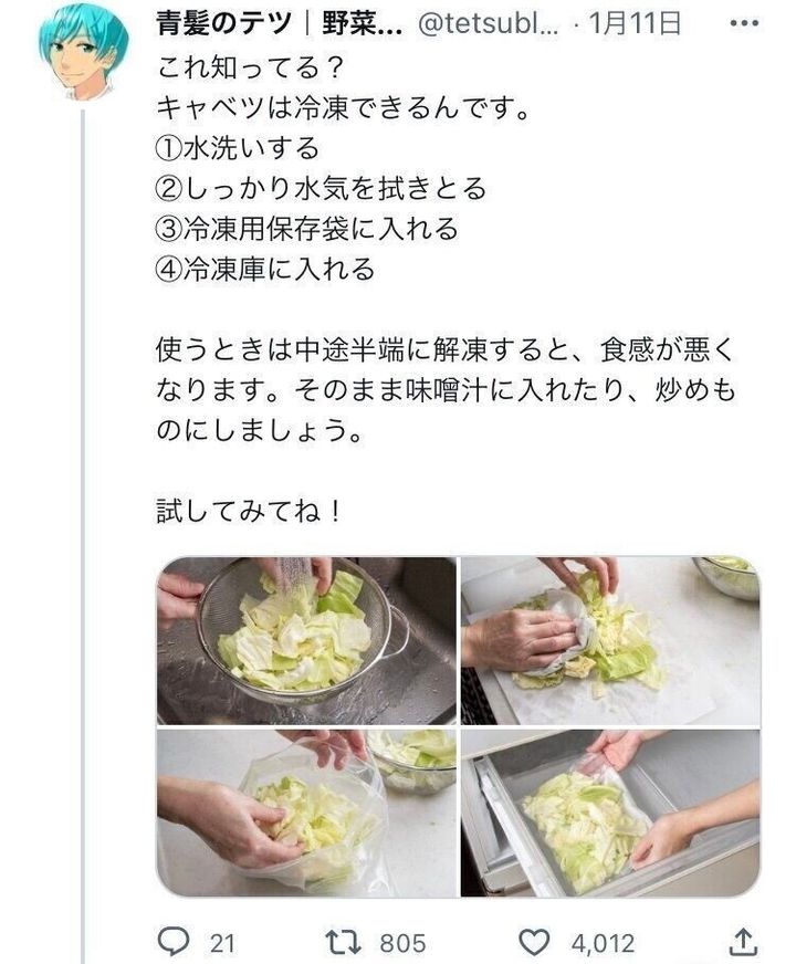プロ直伝 千切りキャベツの保存方法完全ガイド。鮮度を保つコツも - macaroni