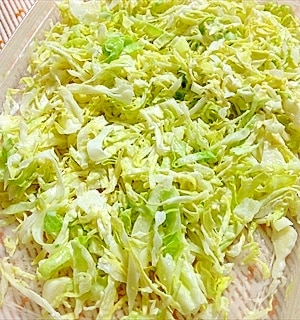 キャベツ余ったらこれ！ あっと言う間になくなる超簡単キャベツの作り置きレシピ 動画はyoutubeでリツの健康飯と検索作り置きレシピ料理写真簡単料理ポートレート部