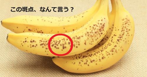 バナナの黒い斑点やシミは甘さの証!? どの程度まで食べてもいいの？ 毎日雑学ダ・ヴィンチWeb