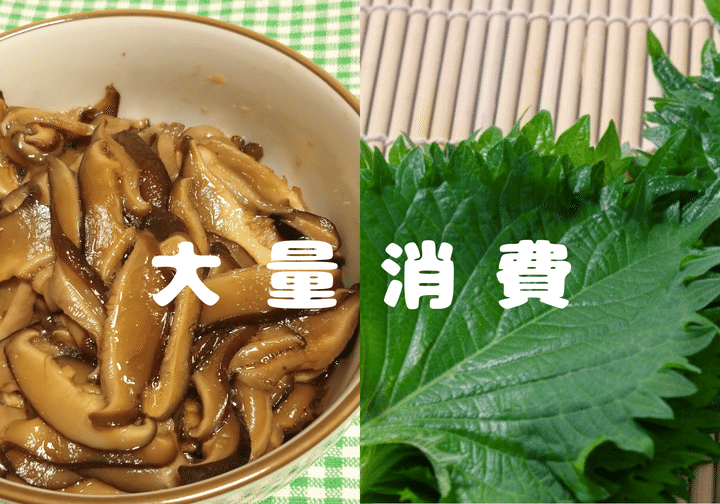 しいたけが激ウマ 簡単なのに箸が止まらない！しいたけの簡単な副菜のレシピ3選・作り方Tasty