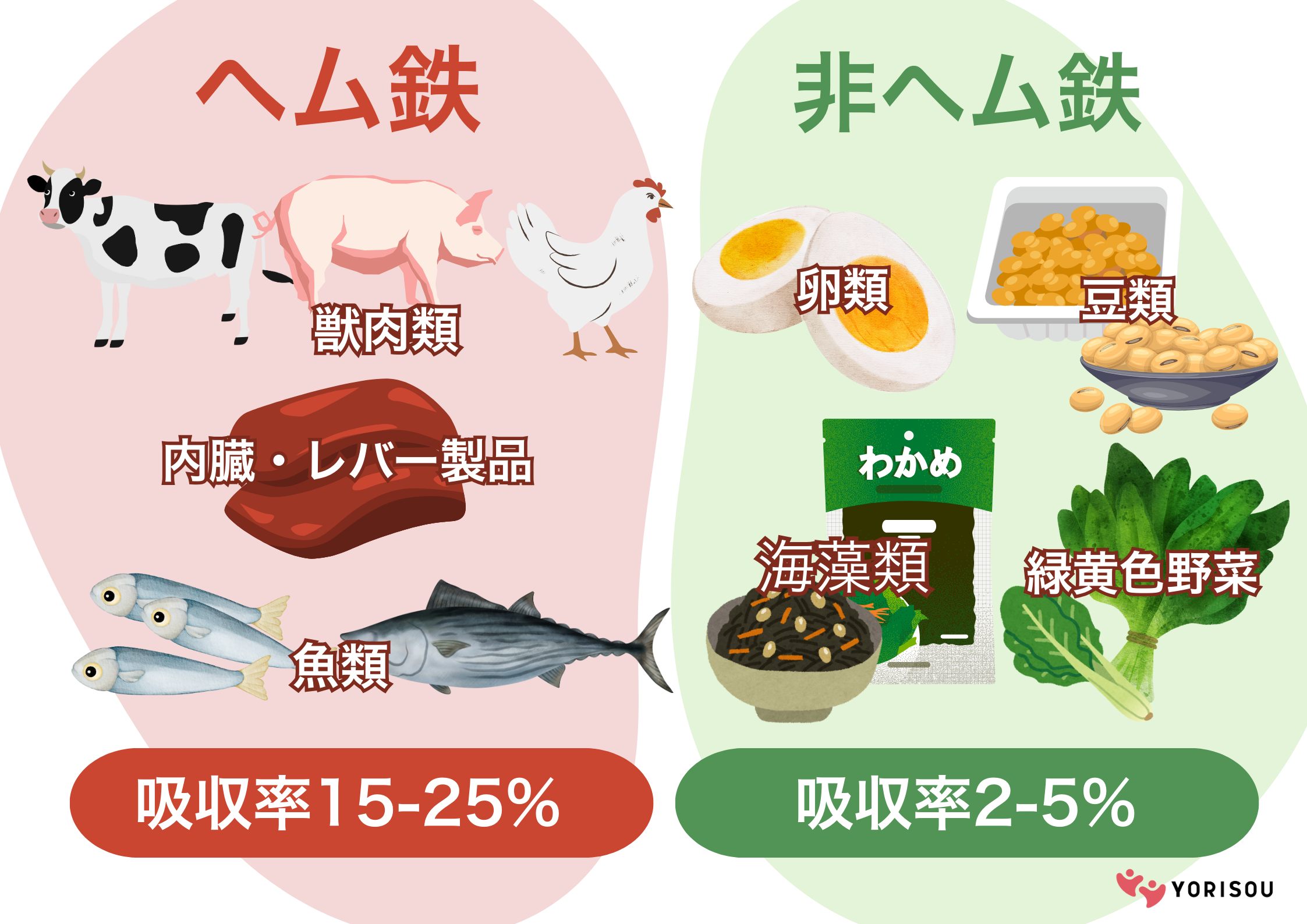 貧血の解消にオススメの食べ物