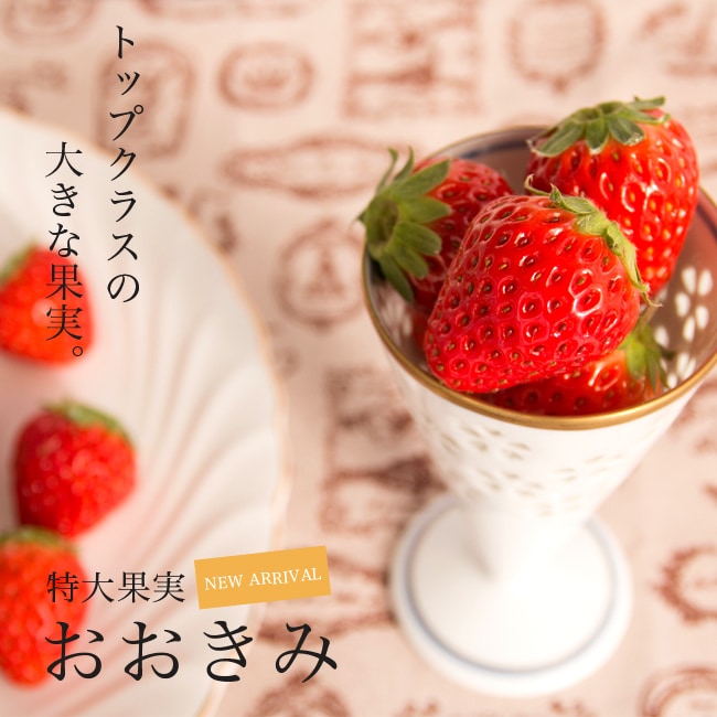 イチゴの育て方家庭菜園サントリーフラワーズ