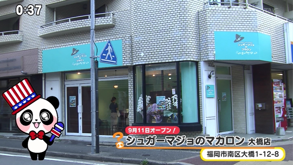 穴場 福岡薬院シュガーマジョのマカロンの人気メニューは？かわいい韓国スイーツトゥンカロンカフェの値段は？FukuokaB フクビー