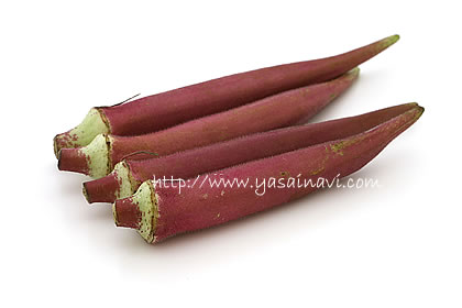 赤オクラと人参の和風ピクルス＊子どもも食べやすい赤オクラレシピこどものうちから伝えたい 心と体をつくる食育と料理〜一緒に食べたい行事食と季節を感じるごはん