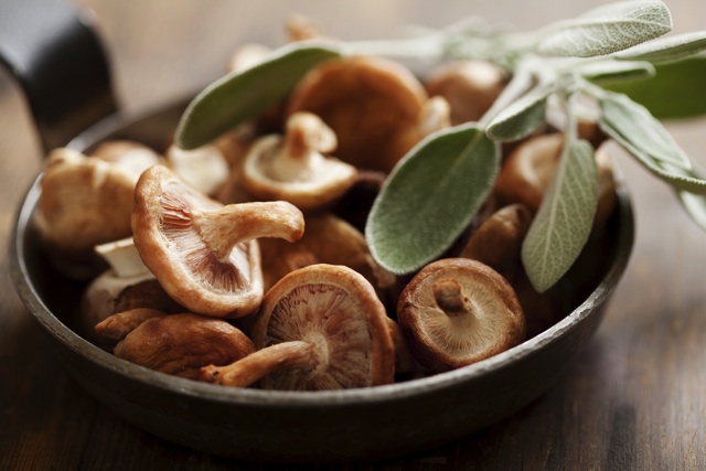 この原木に出来た黒いツブツブは、しいたけの雑菌「クロコブ菌」と言います。 クロコブ菌は乾いた原木に発生しやすく、はじめはウグイス色をしています。それが木の中に蔓延し、子実体 キノコの状態 になったものが、この黒いツブツブです。硬いので当然食べられません