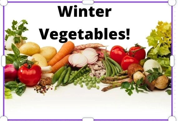 すき焼きの作り方を英語で説明してみよう！ - ネイティブキャンプ英会話ブログ英会話の豆知識や情報満載