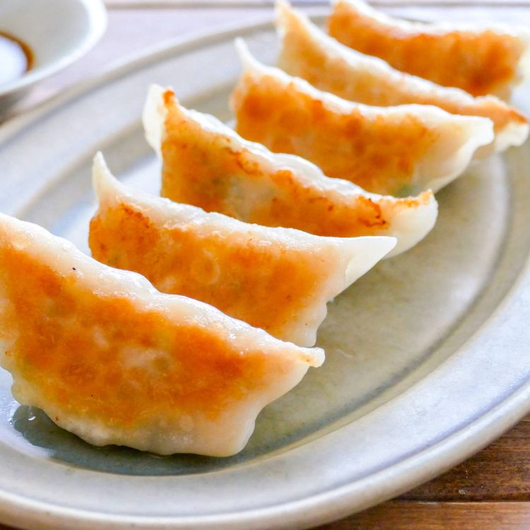 餃子のレシピ 白菜でもキャベツでも！ ：白ごはん.com