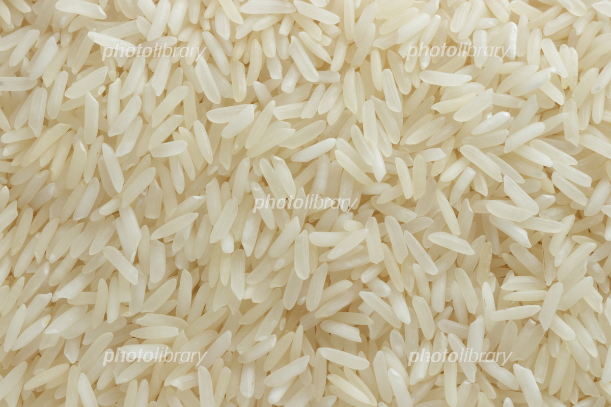 米 コシヒカリ 25116000967 の写真・イラスト素材アマナイメージズ