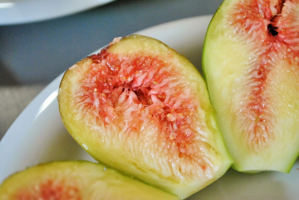 イチジク病害図鑑