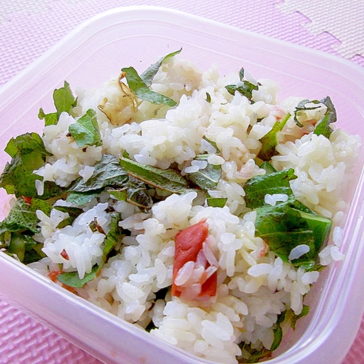 夏場におすすめ！「さっぱり風味のお弁当おかず」4選クックパッドニュース