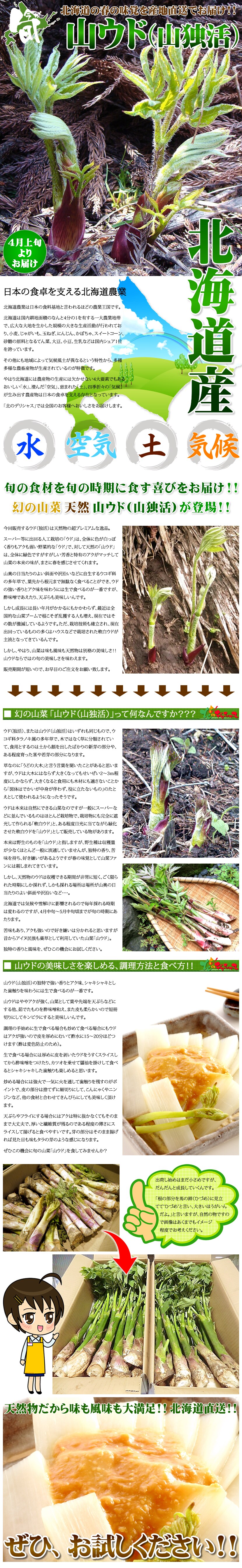 山菜 山うど 山独活 旬の時期・あく抜きなどの下ごしらえの方法・保存方法とは？おしえて！田舎センセイ