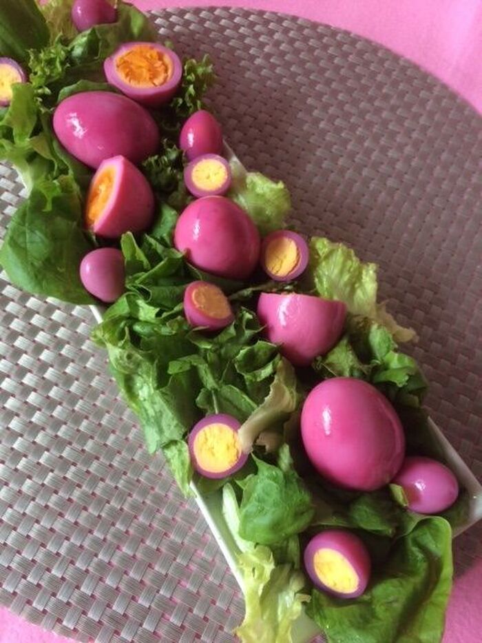 ピンク色の野菜野菜の図鑑web