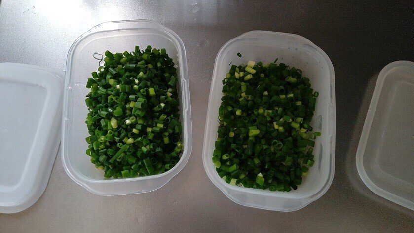 細ねぎ、万能ねぎの冷凍保存は生と湯通し後のどっちが正解か検証したら意外な結果に！生活知恵袋