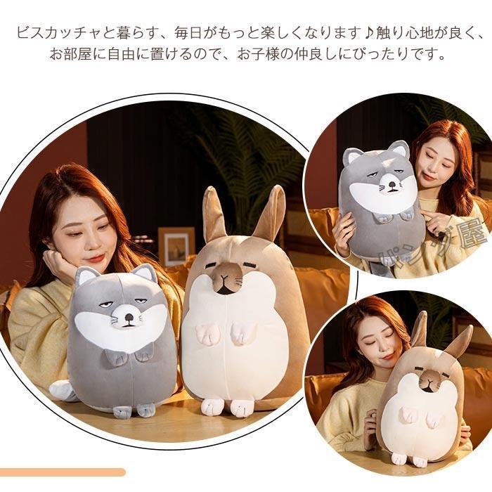 ビスカッチャ ベーシックTシャツ デザインTシャツ通販 Tシャツトリニティ